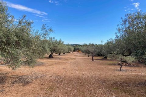 Finca i El Perello, Tarragona, El Perello - € 77.000 | Ref: Finca Manu Ampo - foto 20